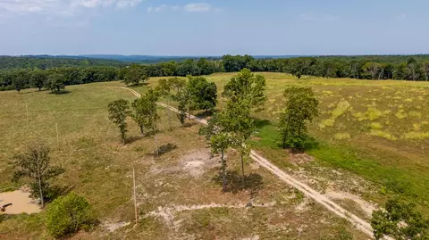 000 County Road 425, Ava, MO 65608 photo 55