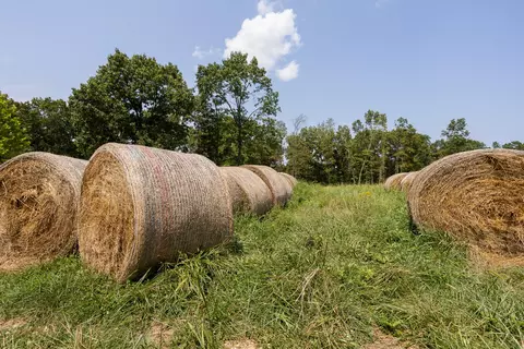 000 County Road 425, Ava, MO 65608 photo 23