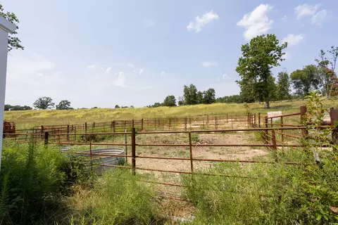 000 County Road 425, Ava, MO 65608 photo 13