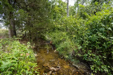 000 County Road 425, Ava, MO 65608 photo 33