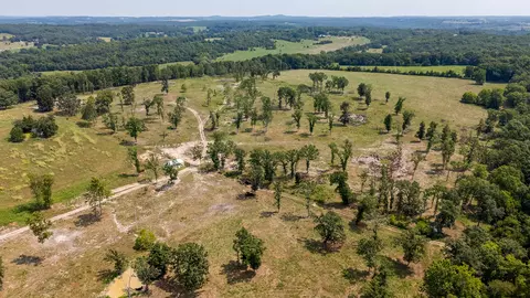 000 County Road 425, Ava, MO 65608 photo 43
