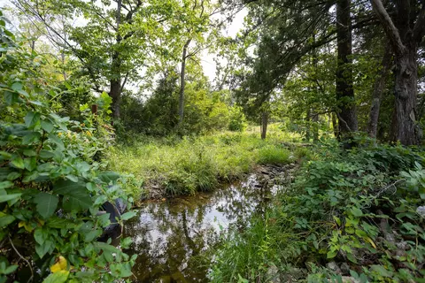 000 County Road 425, Ava, MO 65608 photo 34