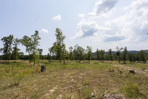000 County Road 425, Ava, MO 65608 photo 17
