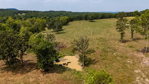 000 County Road 425, Ava, MO 65608 photo 56