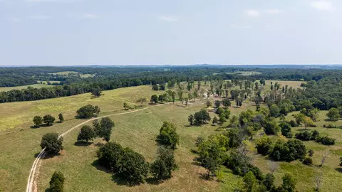 000 County Road 425, Ava, MO 65608 photo 36