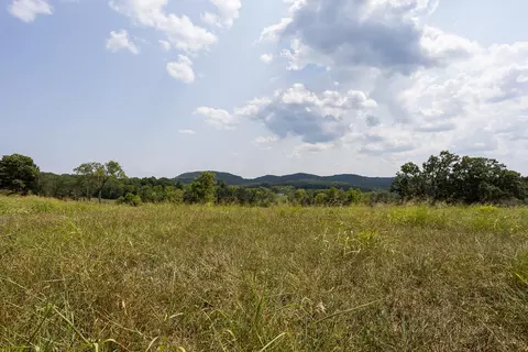 000 County Road 425, Ava, MO 65608 photo 28