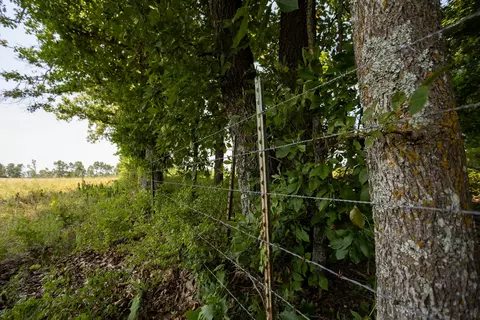 000 County Road 425, Ava, MO 65608 photo 20