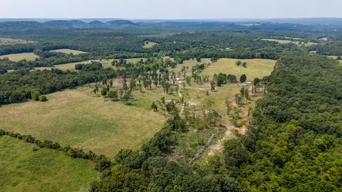 000 County Road 425, Ava, MO 65608 photo 47