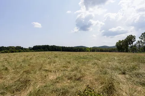 000 County Road 425, Ava, MO 65608 photo 19