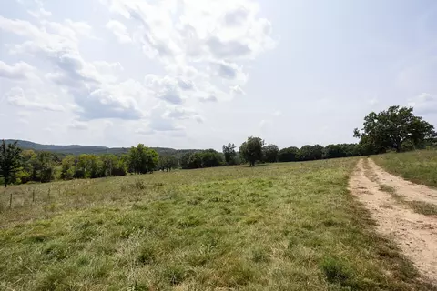 000 County Road 425, Ava, MO 65608 photo 7