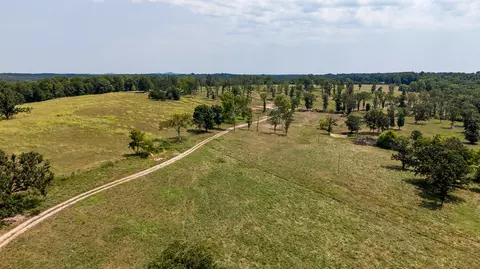 000 County Road 425, Ava, MO 65608 photo 62