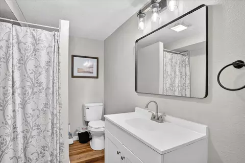 Bath - 493 Spring Creek Rd, Clever, MO 65631 photo 5 of 6