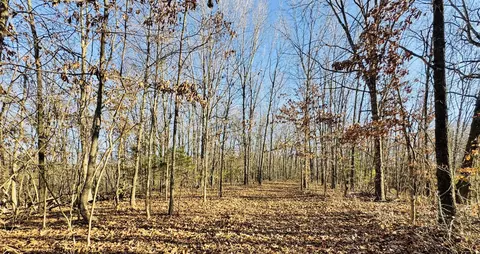 Other - 795 Anthony Rd, Pineville, MO 64856 photo 52 of 89