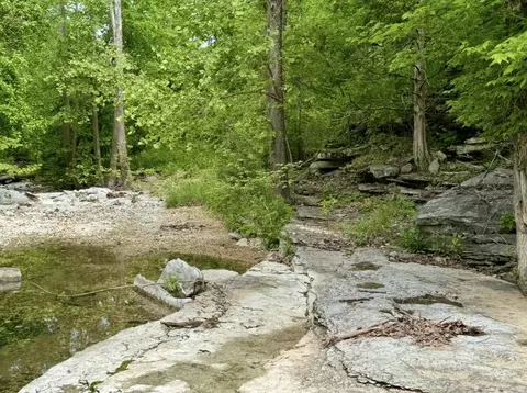 Other - 795 Anthony Rd, Pineville, MO 64856 photo 11 of 89