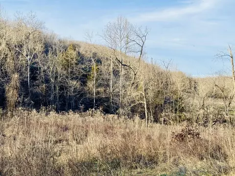 Other - 795 Anthony Rd, Pineville, MO 64856 photo 57 of 89