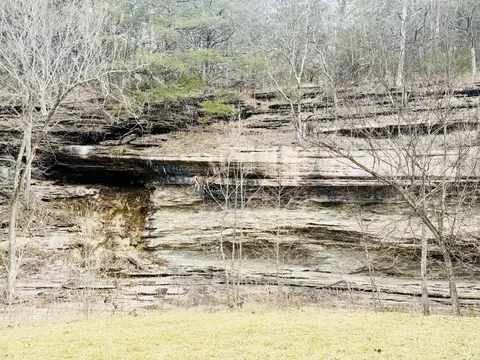 Other - 795 Anthony Rd, Pineville, MO 64856 photo 67 of 89