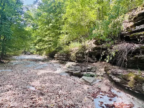 Other - 795 Anthony Rd, Pineville, MO 64856 photo 89 of 89