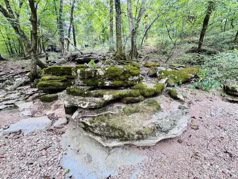 Other - 795 Anthony Rd, Pineville, MO 64856 photo 83 of 89