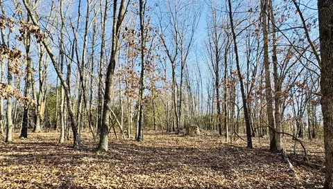 Other - 795 Anthony Rd, Pineville, MO 64856 photo 48 of 89