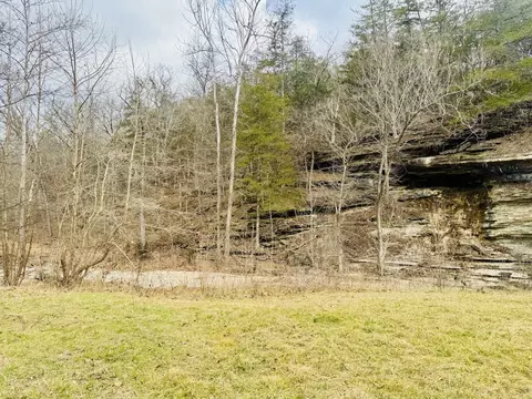 Exterior - 795 Anthony Rd, Pineville, MO 64856 photo 18 of 21