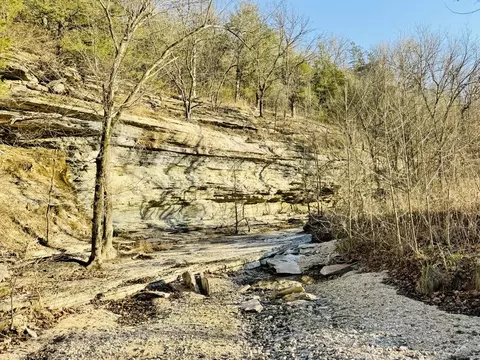 Other - 795 Anthony Rd, Pineville, MO 64856 photo 59 of 89
