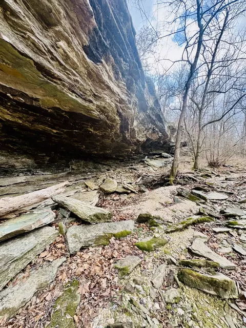 Other - 795 Anthony Rd, Pineville, MO 64856 photo 65 of 89