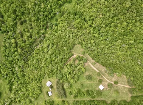 View/Area - 795 Anthony Rd, Pineville, MO 64856 photo 1 of 5