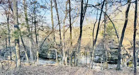 View/Area - 795 Anthony Rd, Pineville, MO 64856 photo 5 of 5