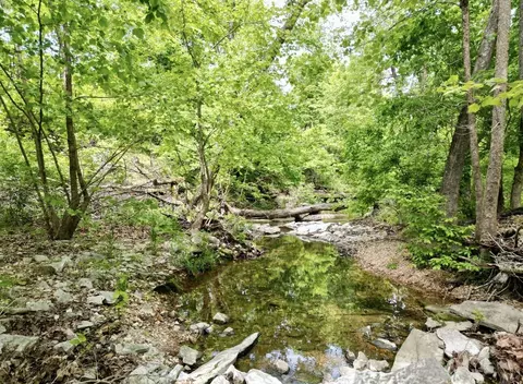 Other - 795 Anthony Rd, Pineville, MO 64856 photo 13 of 89