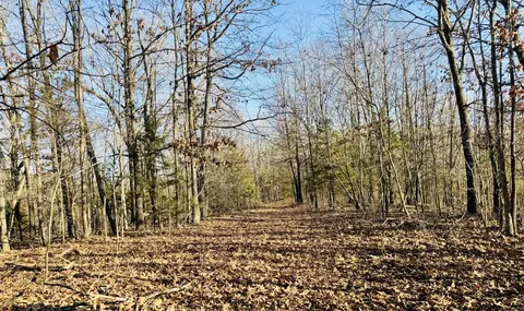 Other - 795 Anthony Rd, Pineville, MO 64856 photo 50 of 89