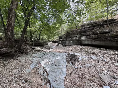 Other - 795 Anthony Rd, Pineville, MO 64856 photo 87 of 89