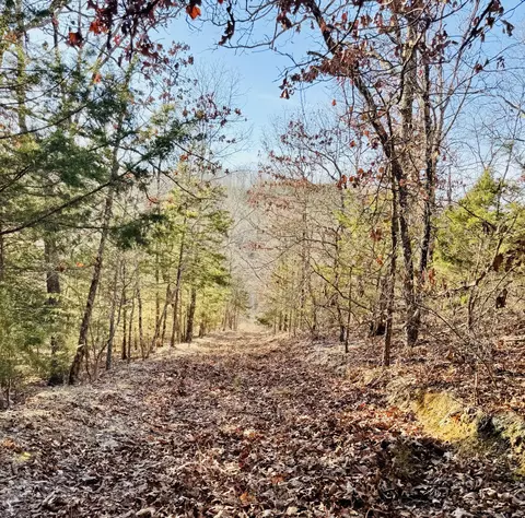 Other - 795 Anthony Rd, Pineville, MO 64856 photo 55 of 89