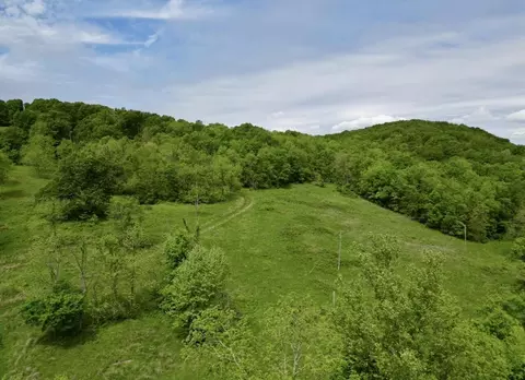 Other - 795 Anthony Rd, Pineville, MO 64856 photo 70 of 89