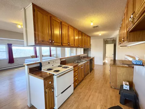 Kitchen - 795 Anthony Rd, Pineville, MO 64856 photo 3 of 4