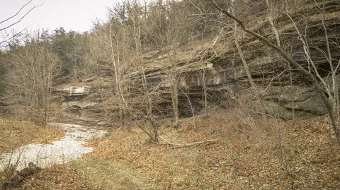 Other - 795 Anthony Rd, Pineville, MO 64856 photo 20 of 89