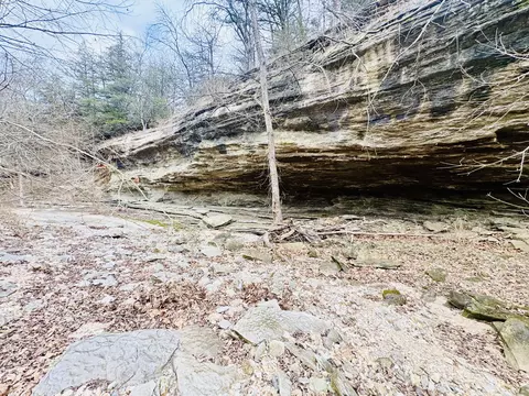 Other - 795 Anthony Rd, Pineville, MO 64856 photo 60 of 89
