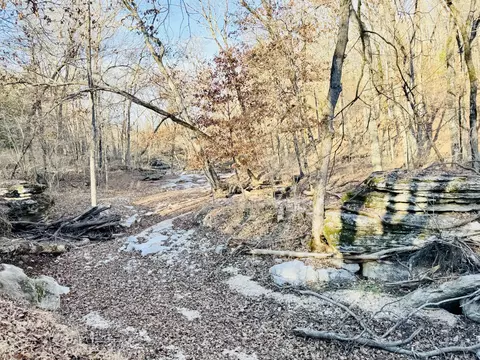 Other - 795 Anthony Rd, Pineville, MO 64856 photo 43 of 89