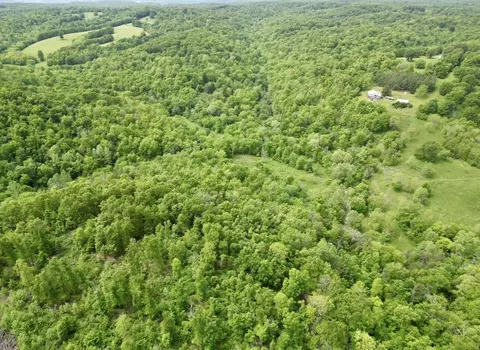 View/Area - 795 Anthony Rd, Pineville, MO 64856 photo 2 of 5