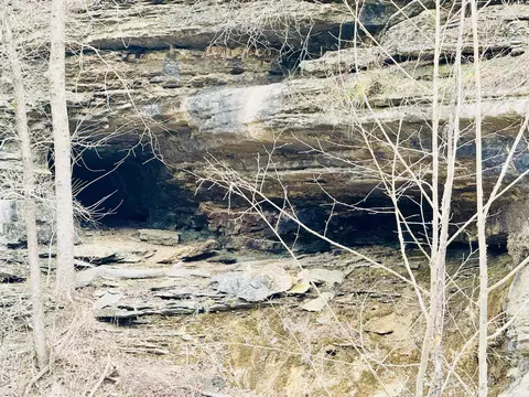 Other - 795 Anthony Rd, Pineville, MO 64856 photo 66 of 89
