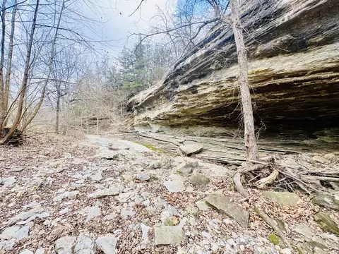 Other - 795 Anthony Rd, Pineville, MO 64856 photo 61 of 89