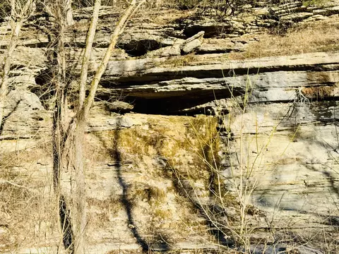 Other - 795 Anthony Rd, Pineville, MO 64856 photo 58 of 89