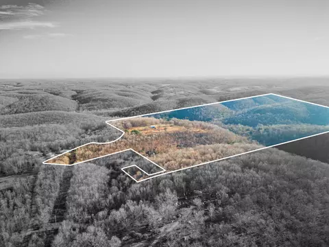 Other - 795 Anthony Rd, Pineville, MO 64856 photo 3 of 89