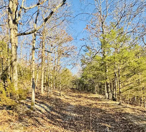 Other - 795 Anthony Rd, Pineville, MO 64856 photo 54 of 89