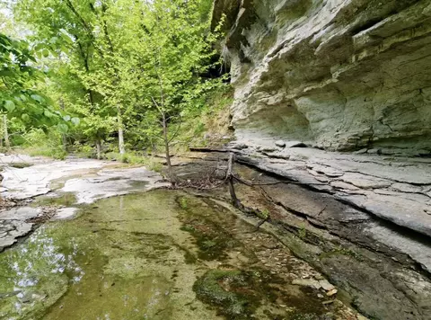 Other - 795 Anthony Rd, Pineville, MO 64856 photo 14 of 89