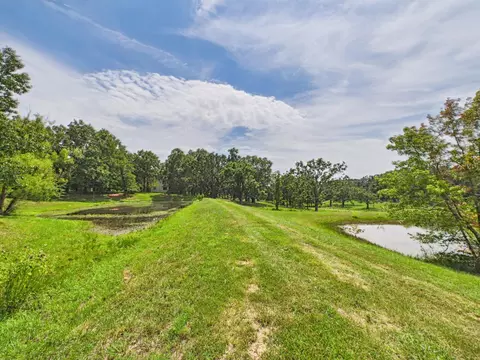 View/Area - 12283 Stave Mill Rd, Cabool, MO 65689 photo 2 of 3