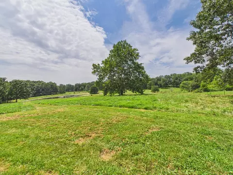 Exterior - 12283 Stave Mill Rd, Cabool, MO 65689 photo 46 of 66