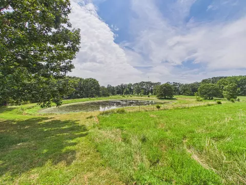 View/Area - 12283 Stave Mill Rd, Cabool, MO 65689 photo 1 of 3