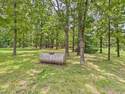 Exterior - 12283 Stave Mill Rd, Cabool, MO 65689 photo 37 of 66