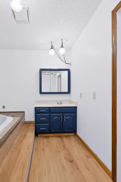 Bath - 3367 Kapok Dr, Seneca, MO 64865 photo 3 of 4