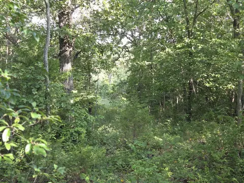 000 Sandy Rd, Edwards, MO 65326 photo 6